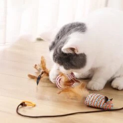 Kattenspeelgoed - Set Met 7 Kattenspeeltjes - Complete Set - Kattenhengel - Speelmuis -Kattenbenodigdheden 1200x1200 896