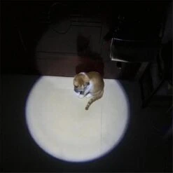 Merkloos Hoogwaardig Laserlampje Voor Katten | USB Oplaadbaar | 7 In 1 Laserpen | Laserpen | Zaklamp | Kattenspeeltje | Kattenspeelgoed | Zilver | Laserpointer Rood/groen | UV Licht -Kattenbenodigdheden 1200x1200 898