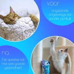 TocaToca Kip- Interactieve Zelf Bewegende Speeltje- Kattenspeeltjes- Intelligentie- Kattenspeelgoed- Kip Voor Katten- Laser- USB- Speelgoed- Geluid- Oranje -Kattenbenodigdheden 1200x1200 900