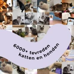 Pettadore - Laser Kattenspeeltjes - Smart Met Autoplay En Handmatig Via App 23 Pettadore - Laser Kattenspeeltjes - Smart Met Autoplay En Handmatig Via App -Kattenbenodigdheden 1200x1200 908