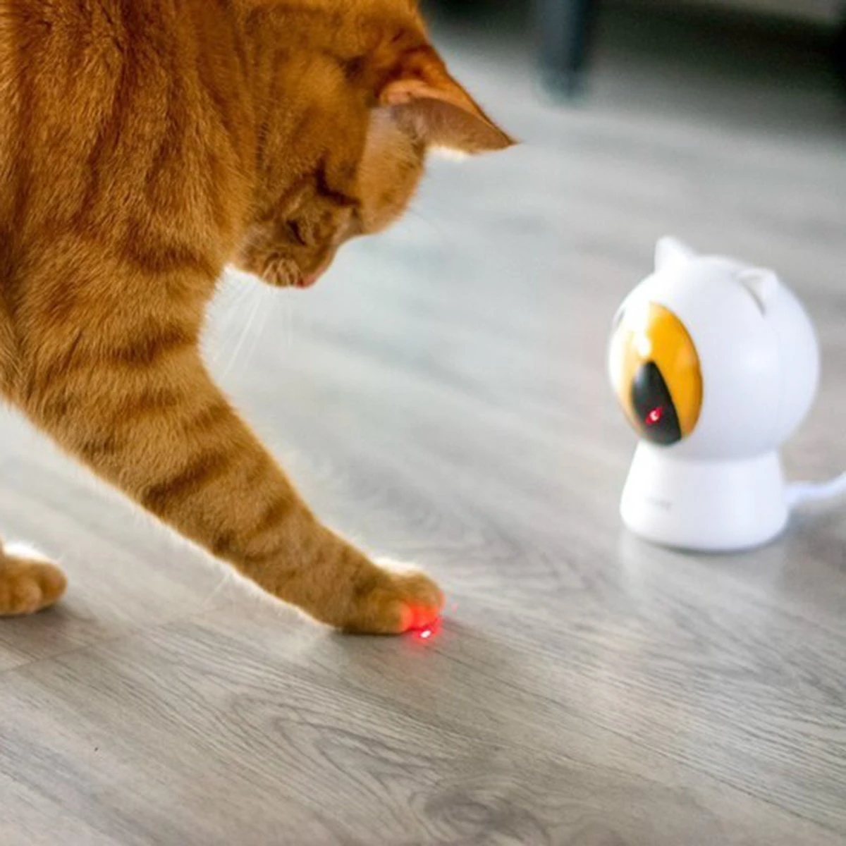 Pettadore - Laser Kattenspeeltjes - Smart Met Autoplay En Handmatig Via App 13 Pettadore - Laser Kattenspeeltjes - Smart Met Autoplay En Handmatig Via App - Afbeelding 11
