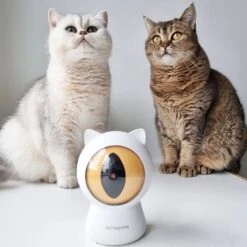 Pettadore - Laser Kattenspeeltjes - Smart Met Autoplay En Handmatig Via App 28 Pettadore - Laser Kattenspeeltjes - Smart Met Autoplay En Handmatig Via App -Kattenbenodigdheden 1200x1200 913