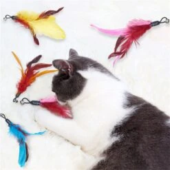 Merkloos Kattenhengel Met 10 Opzetstukjes - Kat Speelhengel Met Veren - Speelgoed Hengel Voor Katten – Kittenspeeltjes Met Veer – Kattenspeelgoed – Katten Speeltjes 13 Merkloos Kattenhengel Met 10 Opzetstukjes - Kat Speelhengel Met Veren - Speelgoed Hengel Voor Katten – Kittenspeeltjes Met Veer – Kattenspeelgoed – Katten Speeltjes -Kattenbenodigdheden 1200x1200 916