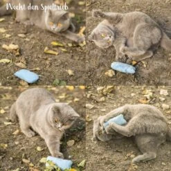 Mint Kitty Katten Speelgoed Set Van Kattenkussen Met Kattenkruid 9 Mint Kitty Katten Speelgoed Set Van Kattenkussen Met Kattenkruid -Kattenbenodigdheden 1200x1200 935