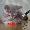 Katten Laser - Dierenwinkel Nederland -Kattenbenodigdheden 1200x1200 936