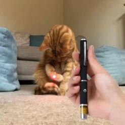 Katten Laser - Dierenwinkel Nederland -Kattenbenodigdheden 1200x1200 937