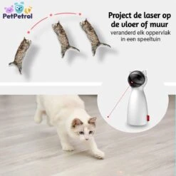 PetPetrol Automatisch Kattenspeeltje – Laser – Kattenlaser - Intelligent Interactief Voor Katten – Laser Kat – 9 Verschillende Standen – Incl. Oplaadkabel – Geruisloze Motor 13 PetPetrol Automatisch Kattenspeeltje – Laser – Kattenlaser - Intelligent Interactief Voor Katten – Laser Kat – 9 Verschillende Standen – Incl. Oplaadkabel – Geruisloze Motor -Kattenbenodigdheden 1200x1200 948