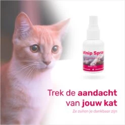 LBB - Catnip Spray 50ML - 100% Natuurlijk - CE Gekeurd - Kattenkruid Spray - Catnip Speelgoed - Valeriaan - Kat - Katten -Kattenbenodigdheden 1200x1200 961