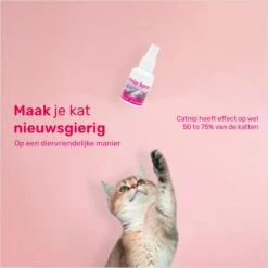 LBB - Catnip Spray 50ML - 100% Natuurlijk - CE Gekeurd - Kattenkruid Spray - Catnip Speelgoed - Valeriaan - Kat - Katten -Kattenbenodigdheden 1200x1200 963