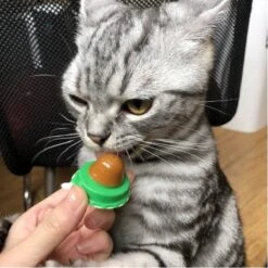 Merkloos EPIN | Kattenkruid Lik Snoepje | Plak Strip | Katten Snacks | Katten Snoep -Kattenbenodigdheden 1200x1200 964