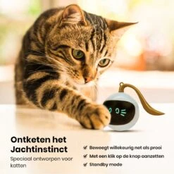 Otiume Slimme Katten Speeltje - Interactieve Zelf Rollende Bal Voor Katten - Kattenspeeltjes -Speelgoed Voor Dieren - USB Oplaadbaar 13 Otiume Slimme Katten Speeltje - Interactieve Zelf Rollende Bal Voor Katten - Kattenspeeltjes -Speelgoed Voor Dieren - USB Oplaadbaar -Kattenbenodigdheden 1200x1200 967
