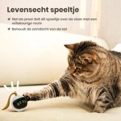 Otiume Slimme Katten Speeltje - Interactieve Zelf Rollende Bal Voor Katten - Kattenspeeltjes -Speelgoed Voor Dieren - USB Oplaadbaar 14 Otiume Slimme Katten Speeltje - Interactieve Zelf Rollende Bal Voor Katten - Kattenspeeltjes -Speelgoed Voor Dieren - USB Oplaadbaar -Kattenbenodigdheden 1200x1200 968