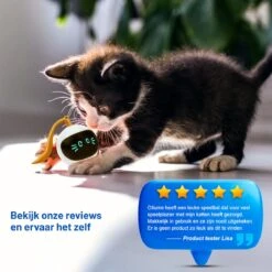 Otiume Slimme Katten Speeltje - Interactieve Zelf Rollende Bal Voor Katten - Kattenspeeltjes -Speelgoed Voor Dieren - USB Oplaadbaar 16 Otiume Slimme Katten Speeltje - Interactieve Zelf Rollende Bal Voor Katten - Kattenspeeltjes -Speelgoed Voor Dieren - USB Oplaadbaar -Kattenbenodigdheden 1200x1200 970
