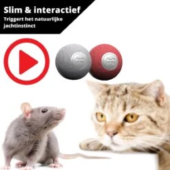 Cheerble Mini Ball 2.0 - Slimme Interactieve Zelf Rollende Bal Voor Katten - 3 Speelmodi - Kattenspeeltjes - USB Oplaadbaar - Rood 19 Cheerble Mini Ball 2.0 - Slimme Interactieve Zelf Rollende Bal Voor Katten - 3 Speelmodi - Kattenspeeltjes - USB Oplaadbaar - Rood -Kattenbenodigdheden 1200x1200 972