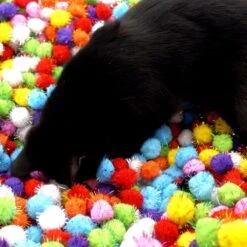 Make Me Purr Glitter Pompon Ballen (10 Stuks) - Kattenspeeltjes - Kattenspeelgoed - Speelgoed Voor Katten - Kat Speeltje Bal - Kitten Speeltjes Balletjes -Kattenbenodigdheden 1200x1200 976