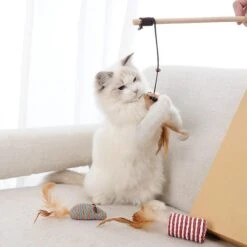 GIZMO Luxe Kattenspeeltjes Set - 7 Speeltjes - Interactieve Kattenhengel, Kattenspeelgoed & Speelmuisjes - Kitten Speeltjes 21 GIZMO Luxe Kattenspeeltjes Set - 7 Speeltjes - Interactieve Kattenhengel, Kattenspeelgoed & Speelmuisjes - Kitten Speeltjes -Kattenbenodigdheden 1200x1200 989