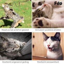 Filo Kattenspeelgoed Set 30 Stuks - Kattenspeeltje Kattentunnel - Kattenhengel - Kattenveertjes - Vis Met Kattenkruid - Kattenspeeltjes Intelligentie Kitten - Interactief Speelgoed Katten - Poezen Speeltjes -Kattenbenodigdheden 1200x1200 993