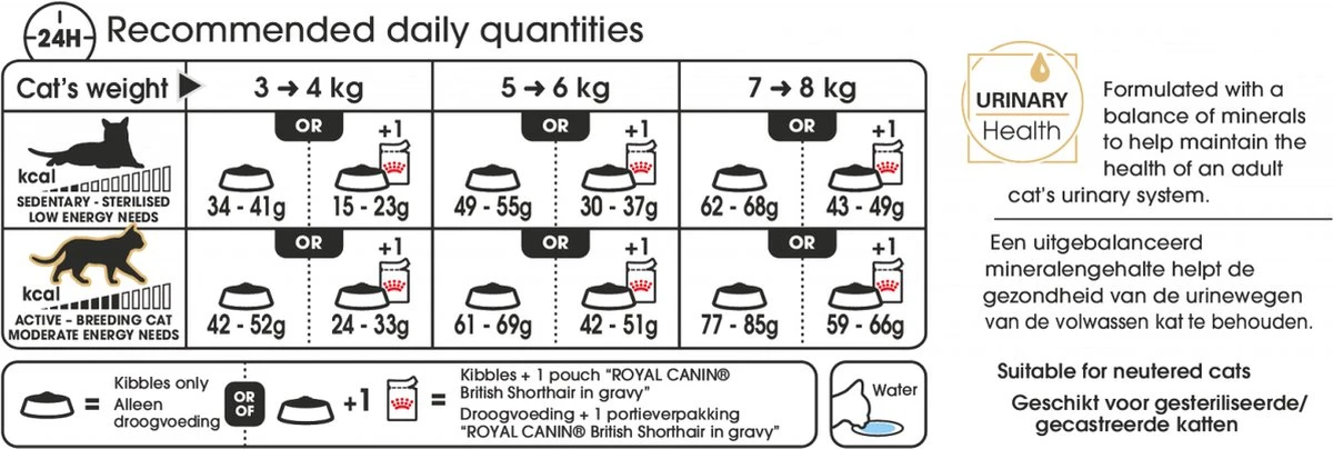 Royal Canin British Shorthair Kitten - 2 Kg 9 Royal Canin British Shorthair Kitten - 2 Kg - Afbeelding 7