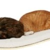 COSY AND DOZY Cat Shelf Deluxe WIT – Hangmat Kat – Maple Hout - 90 X 41 Cm - Kattenplank - Katten Muur -Kattenbenodigdheden 1200x417 2