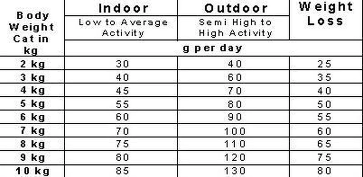 Smolke Sterilised Weight Control Light - 2 Kg 20 Smolke Sterilised Weight Control Light - 2 Kg - Afbeelding 18