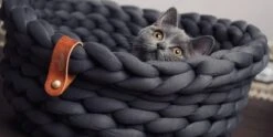 Djambo Kattenmanden, Gevlochten En Zachte Kattenbed, Comfortabel En Warm. -Kattenbenodigdheden 1200x600