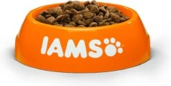 Iams Cat Senior - Kip - 3 Kg -Kattenbenodigdheden 1200x602 1