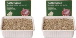 Kattengras Zaadjes Per 2 Dozen