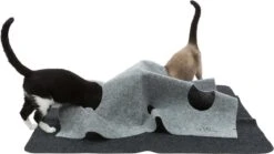 Trixie Cat Activity Adventure Carpet Grijs 99x99 Cm 33 Trixie Cat Activity Adventure Carpet Grijs 99x99 Cm -Kattenbenodigdheden 1200x674 4