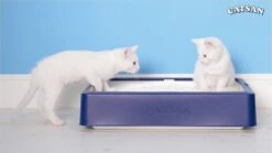 Catsan Active Fresh - Kattenbakvulling - 8 L -Kattenbenodigdheden 1200x675 10