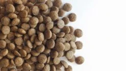 Carocroc Kat Senior 7 Kg 13 Carocroc Kat Senior 7 Kg -Kattenbenodigdheden 1200x675 5