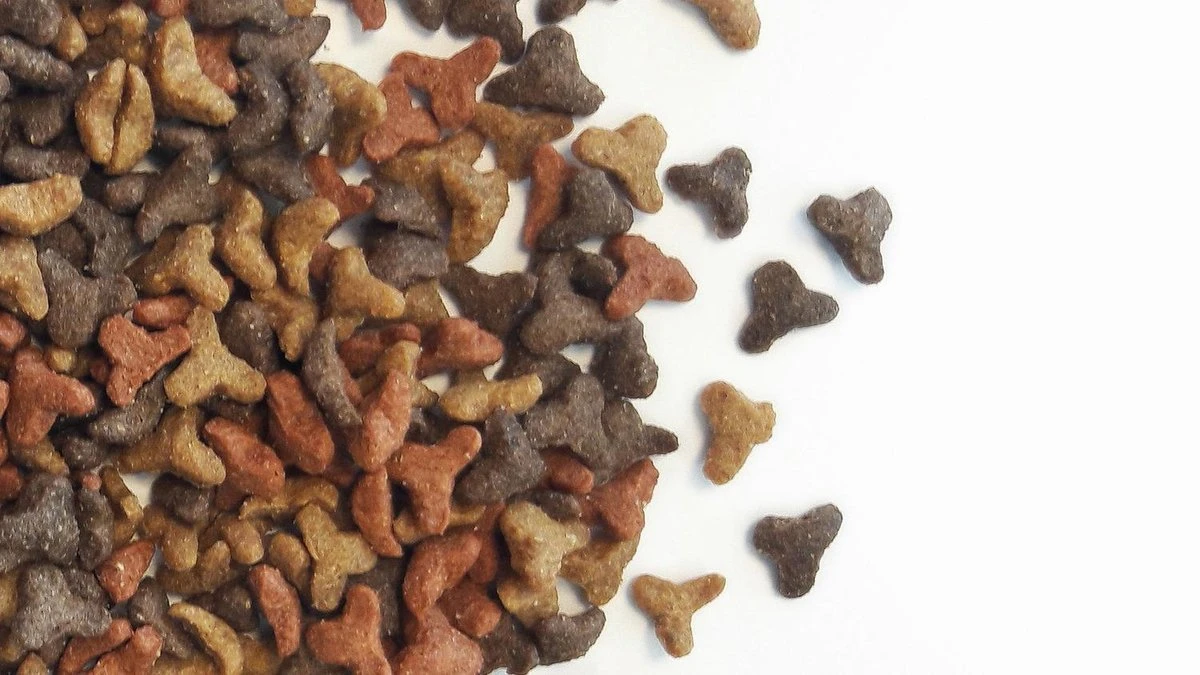 Carocroc Kat 3-Mix Adult - Gevogelte/Rund - Kattenvoer - 15 Kg 8 Carocroc Kat 3-Mix Adult - Gevogelte/Rund - Kattenvoer - 15 Kg - Afbeelding 6