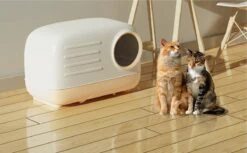 Merkloos PETLUX® XL Kattenbak Retro Design Met Lade, Schep En Opbergruimte - Grote Kattenbak - Kaki -Kattenbenodigdheden 1200x742 1