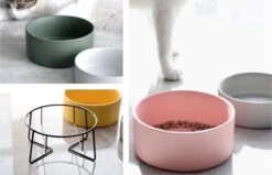 GIZMO 2x Voerbak Kat - 400 Ml - Groen - Keramische Drink- & Voerbakken Met Standaard - 13 Cm - 2 Stuks -Kattenbenodigdheden 1200x773