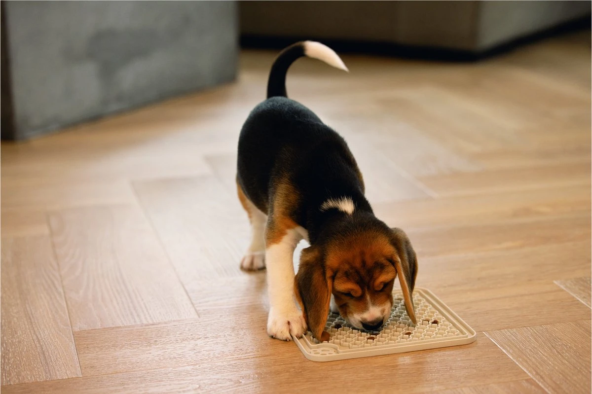 Beeztees Puppy Likmat Diza - Hondenspeelgoed - Rubber - Grijs - 20x20 Cm 4 Beeztees Puppy Likmat Diza - Hondenspeelgoed - Rubber - Grijs - 20x20 Cm - Afbeelding 2