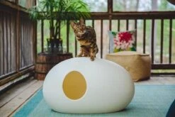 SinDesign Poopoopeedo Kattenbak - Zwart 17 SinDesign Poopoopeedo Kattenbak - Zwart -Kattenbenodigdheden 1200x800 10