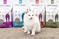 Dirty Rebels Kattenbakvulling - 10 L - Geurloos / Zonder Geur - Sterk Klontvormend - Stofvrij - 100% Natuurlijk - Premium Kwaliteit Van Petrebels 12 Dirty Rebels Kattenbakvulling - 10 L - Geurloos / Zonder Geur - Sterk Klontvormend - Stofvrij - 100% Natuurlijk - Premium Kwaliteit Van Petrebels -Kattenbenodigdheden 1200x800 18