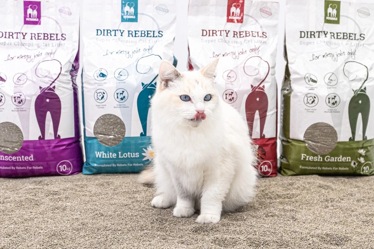 Dirty Rebels Kattenbakvulling - 10 L - Geurloos / Zonder Geur - Sterk Klontvormend - Stofvrij - 100% Natuurlijk - Premium Kwaliteit Van Petrebels 6 Dirty Rebels Kattenbakvulling - 10 L - Geurloos / Zonder Geur - Sterk Klontvormend - Stofvrij - 100% Natuurlijk - Premium Kwaliteit Van Petrebels - Afbeelding 4