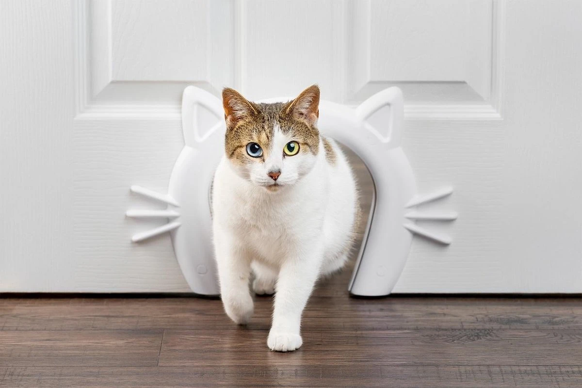 PetSafe Staywell® Cat Corridor - Kattendoorgang Voor Binnenshuis - Overschilderbaar Design - Voor Katten Tot 9 Kg - Staywell Cat Corridor 8 PetSafe Staywell® Cat Corridor - Kattendoorgang Voor Binnenshuis - Overschilderbaar Design - Voor Katten Tot 9 Kg - Staywell Cat Corridor - Afbeelding 6