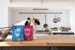 Edgard&Cooper Kitten Kip&Eend&Witvis - Kattenvoer - 3 X 300 G -Kattenbenodigdheden 1200x800