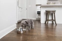 PetSafe® Seaside Stainless Steel Pet Fountain - RVS Drinkfontein Voor Katten En Kleine Honden - Water Borrelt Zacht Over De Toren - Door Het Design Van Alle Kanten Bereikbaar - 1,8 Liter - PetSafe Seaside 12 PetSafe® Seaside Stainless Steel Pet Fountain - RVS Drinkfontein Voor Katten En Kleine Honden - Water Borrelt Zacht Over De Toren - Door Het Design Van Alle Kanten Bereikbaar - 1,8 Liter - PetSafe Seaside -Kattenbenodigdheden 1200x800 6