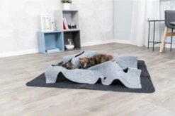 Trixie Cat Activity Adventure Carpet Grijs 99x99 Cm 35 Trixie Cat Activity Adventure Carpet Grijs 99x99 Cm -Kattenbenodigdheden 1200x800 60