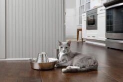 PetSafe® Seaside Stainless Steel Pet Fountain - RVS Drinkfontein Voor Katten En Kleine Honden - Water Borrelt Zacht Over De Toren - Door Het Design Van Alle Kanten Bereikbaar - 1,8 Liter - PetSafe Seaside 13 PetSafe® Seaside Stainless Steel Pet Fountain - RVS Drinkfontein Voor Katten En Kleine Honden - Water Borrelt Zacht Over De Toren - Door Het Design Van Alle Kanten Bereikbaar - 1,8 Liter - PetSafe Seaside -Kattenbenodigdheden 1200x800 7