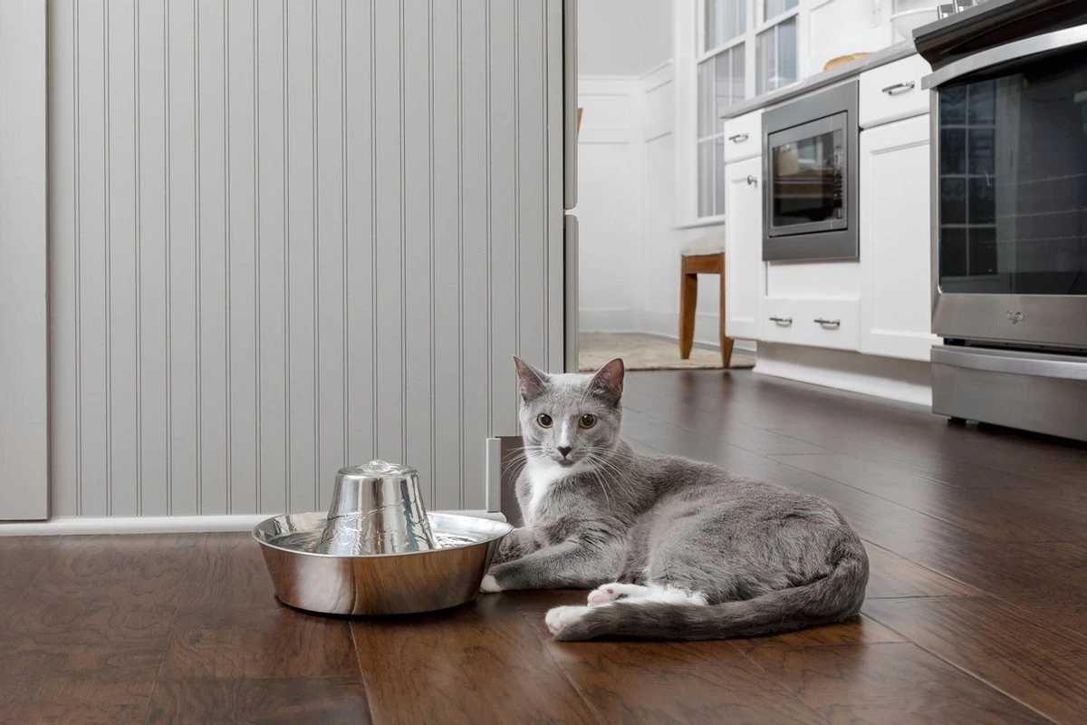 PetSafe® Seaside Stainless Steel Pet Fountain - RVS Drinkfontein Voor Katten En Kleine Honden - Water Borrelt Zacht Over De Toren - Door Het Design Van Alle Kanten Bereikbaar - 1,8 Liter - PetSafe Seaside 7 PetSafe® Seaside Stainless Steel Pet Fountain - RVS Drinkfontein Voor Katten En Kleine Honden - Water Borrelt Zacht Over De Toren - Door Het Design Van Alle Kanten Bereikbaar - 1,8 Liter - PetSafe Seaside - Afbeelding 5