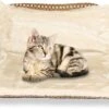 Kattenhangmat - Voor Aan Het Raam - Kattenmand - Raam - Hangmat Kat - Dieren - Kattenbed - Kattenmand - Slaapplek - Ligplaats 2 Kattenhangmat - Voor Aan Het Raam - Kattenmand - Raam - Hangmat Kat - Dieren - Kattenbed - Kattenmand - Slaapplek - Ligplaats -Kattenbenodigdheden 1200x801 6