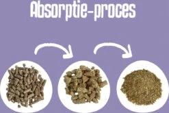 Easypets Houtkorrel Kattenbakvulling 10KG - 20L - Biologisch Afbreekbare Houtkorrels - FSC 11 Easypets Houtkorrel Kattenbakvulling 10KG - 20L - Biologisch Afbreekbare Houtkorrels - FSC -Kattenbenodigdheden 1200x802 1