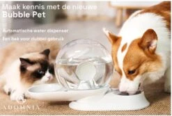AdomniaGoods - Automatische Katten Voerbak - Antislip Honden Voerbak - Unique Transparant/grijs Design - Altijd Hygiënisch Schoon Water! -Kattenbenodigdheden 1200x810