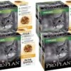 Pro Plan Cat NutriSavour Sterilised Multipack - Kattenvoer - Kip 40x85 G -Kattenbenodigdheden 1200x831 2