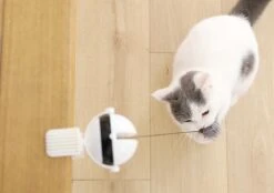 Merkloos Kattenhengel - Elektrisch Kattenspeelgoed - Kattenspeeltjes - Automatische Hengel - Kitten Speelgoed - Interactief Kattenspeelgoed - Bal - Katten - Poesjes - Kitten - Kat - Kattenbal - Kattenspeeltjes Intelligentie -Kattenbenodigdheden 1200x845 2