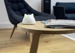 Sureflap Connect HUB -Kattenbenodigdheden 1200x848