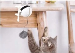 Merkloos Kattenhengel - Elektrisch Kattenspeelgoed - Kattenspeeltjes - Automatische Hengel - Kitten Speelgoed - Interactief Kattenspeelgoed - Bal - Katten - Poesjes - Kitten - Kat - Kattenbal - Kattenspeeltjes Intelligentie -Kattenbenodigdheden 1200x852 4